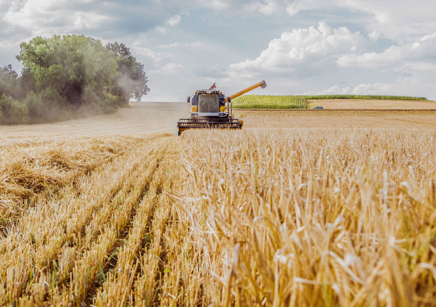 GVO Versicherung -  Versicherungsschutz Arbeiten auf dem Feld