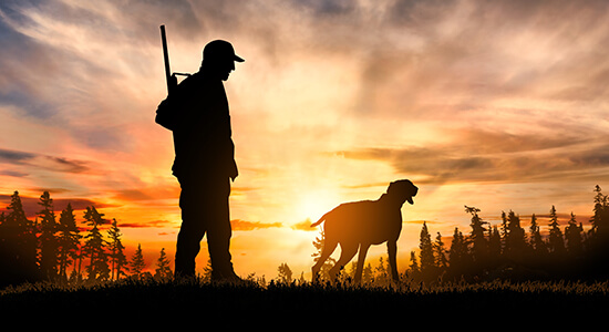 Teaser der Seite Jagdhaftpflichtversicherung